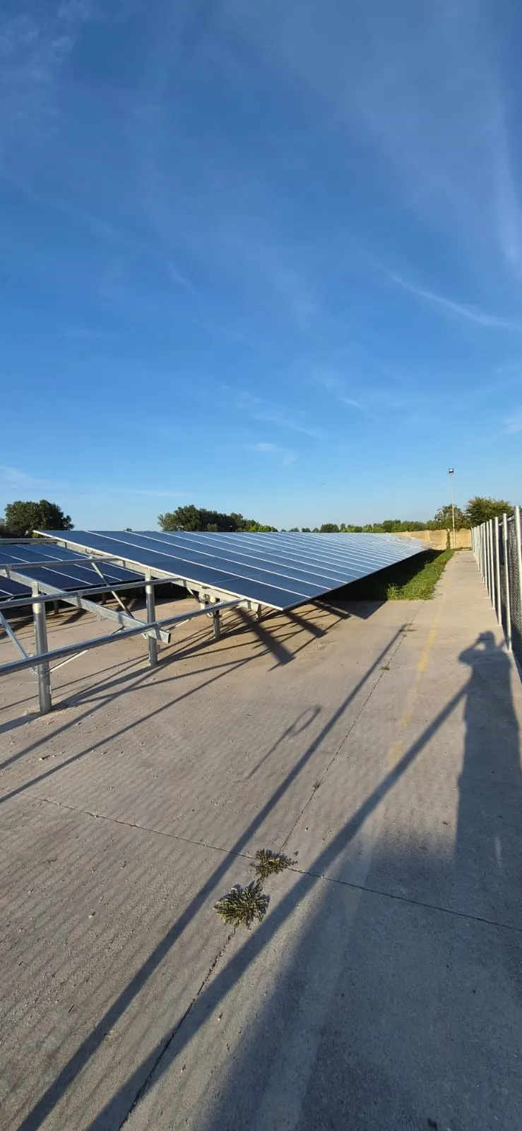Șiruri de panouri fotovoltaice montate la sol, sub cer senin